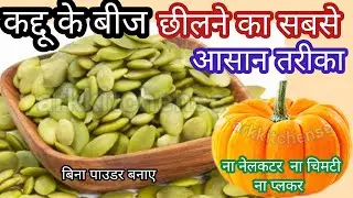 Kaddu Ke Beej Kaise Chile | Kaddu Ke Beej Kaise Nikale | Kaddu Ke Beej Chilne Ka Sabse Asan Tarika