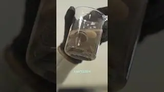 Туалетная бактерия #амитеш #технологии