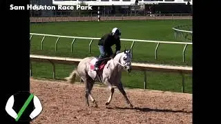 Sovereign Racing Update: Shinning Runaway (2-14-2020)