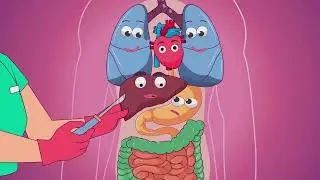 🎬 Dynamic Motion Graphics & Character Animation for inside human body