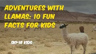 Lively Adventures with Llamas: 10 Fun Facts for Kids - SKI-HI KIDS