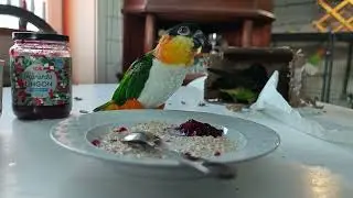 Alltid lika trevligt med frukostg&auml;ster...