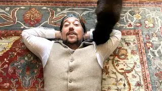 All The Old Companions (Official Music Video)