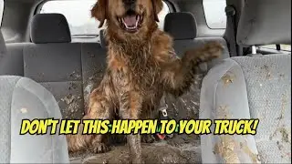How to Protect Your Truck Seats (And Why You Should)