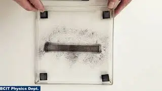 DEM24 Magnetic Field &ndash; Bar Magnet in Flat Open Tray