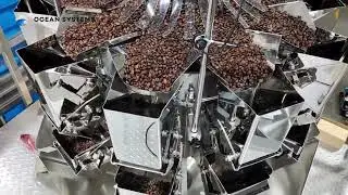 Ready pouch packaging machine &ndash; Packing coffee beans Doypack RPL220  WM10 3000  ABE