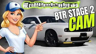 BTR hemi cam