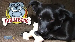 Spin-A-Bone from Bullibone