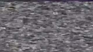 A Video to Get Stuck in your Head
