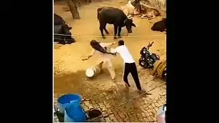 Side effects of love marriage 😂💞... #funny #viral