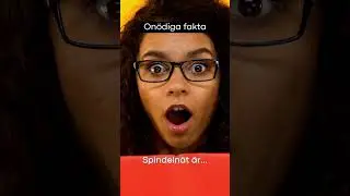 On&ouml;dig fakta On&ouml;diga fakta 42