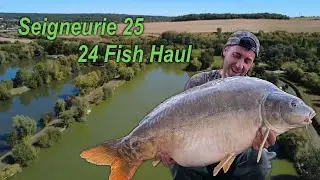 Seigneurie lake , France 2025 24 fish haul