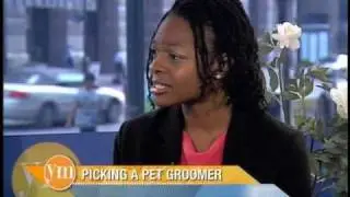 Selecting a Pet Groomer, Groomer Certification and the State of the Pet Grooming Industry