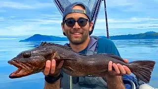 Saltwater Kayak Fishing.  Rockfish vs Sculpin Catch and Cook
