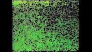 Patrick Baele - MOVING COLOURFIELD YT 14