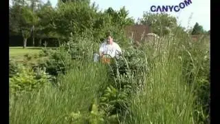 Canycom F1 Masao in der Christbaumkultur