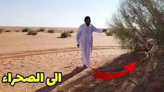 رحلة الى الصحراء (نبحث عن العقارب ) فلوق