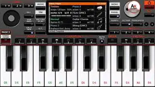 Piano org 2019