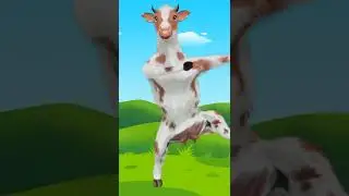 Funny Cow Dance 🐄 | Funny Cow Videos 2022