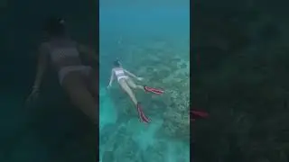 Freediving Cebu #cebu #travel #philippines #wanderlust