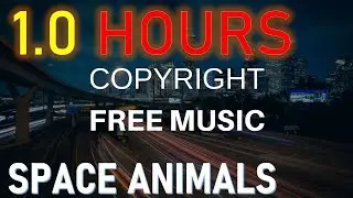 Space Animals | Eijuba | 1.0 Hours | Copyright Test of Cool Music for Videos | Verified