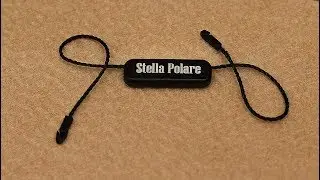 Stella Polare Дафи Днепр