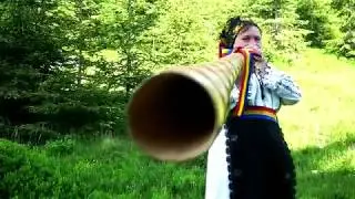 Felicia Han   Chemarile motilor din tulnic