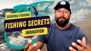 Learning the Surf: My Top Corbina Fishing Resources
