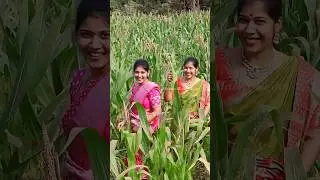 Sankranthi Mini Vlog😍 #shorts #youtubeshorts #ammachethivanta #vlog #viral #sankranthi #trending