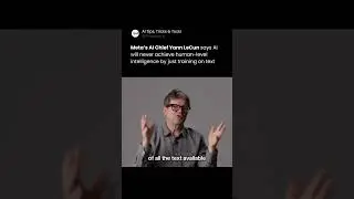 Can AI ever truly understand the world like humans do? 🤔