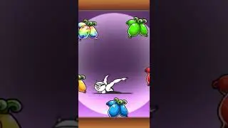 Evolution fish man cat