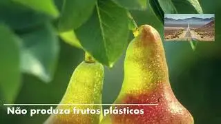 Mensagem da Palavra de Deus: N&atilde;o produza frutos pl&aacute;sticos