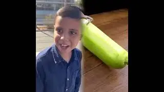 🤣👌👌👌2026 pov Must-Watch Crazy Clips Compilation #humor #fypシ #pov #fyp #foryou 😍😜