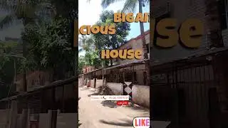 Big and Spacious Row house for Sale #viral #ytshorts #shorts