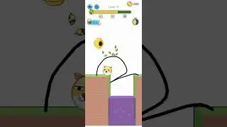Save the Dog game play video 