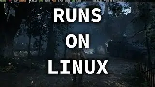 Hell is Us Runs on Linux [Unreal Engine 5] [DLSS FG]