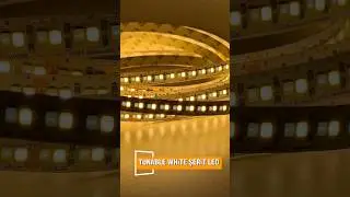 Tunable White / Ayarlanabilir Beyaz Şerit Led