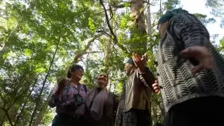 aznash laaman on walk