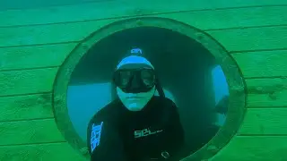 Sturgeon fish swimming right into the camera - fun diving the wreck, cliff drops and the kiss