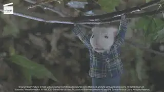 Stuart Little : Stuart et Snowbell