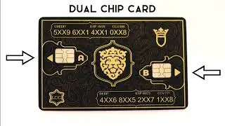 Dual Chip Card (2-in-1) | Lion Card
