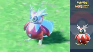 Pok&eacute;mon Scarlet & Violet - Searching Iron Bundle Top of Mountain Area Zero & Caught 