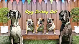 Guthrie Castle Staff & Pups Wish Dan Pe&ntilde;a a Happy Birthday!