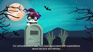 Black Cats: Debunking the Unlucky Myth