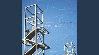 N&atilde;o Sei Pousar