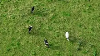 Drone Film: Love in Semmerzake