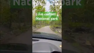 Jim Corbett National Park | Uttrakhand | Jungle Drive | Monsoon | Beautiful Nature