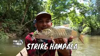 Menaklukkan Ikan Penghuni Hulu Palin | MANCING MANIA STRIKE BACK (27/09/25) Part 2
