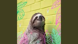 Sloth