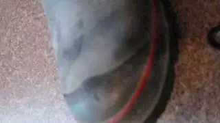Hunter Boots UV Tech Cleaner Spray Demonstration